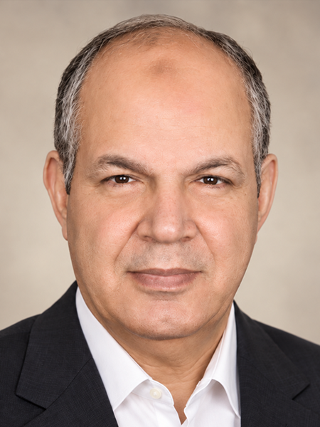 صورة أحمد عوض هندي